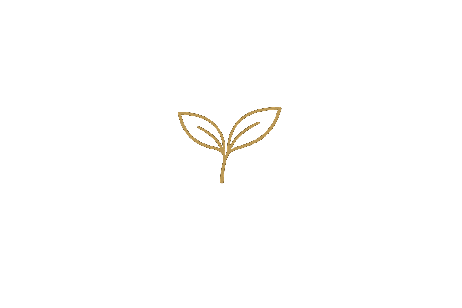 Botanical leaf icon
