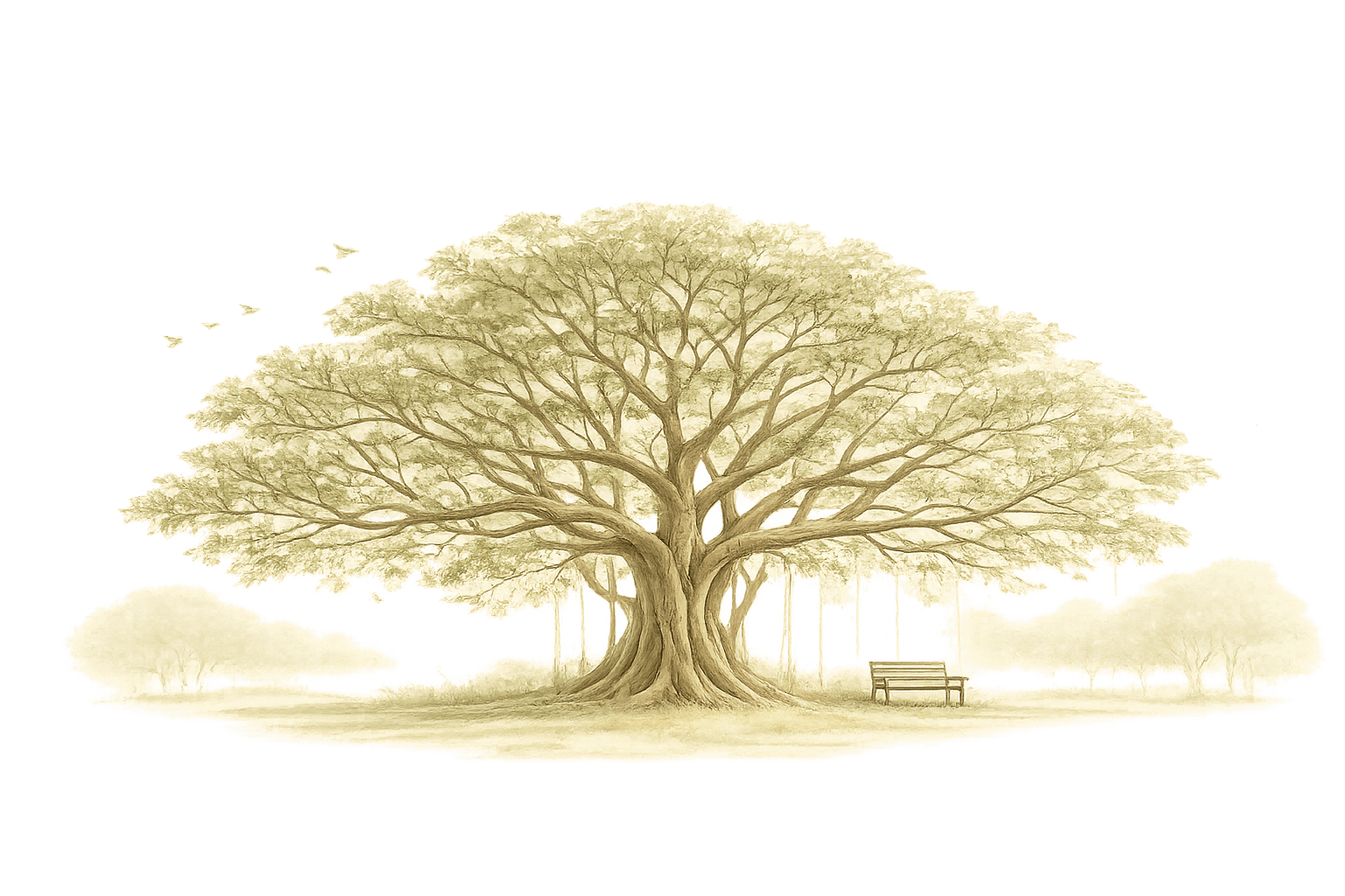 Banyan tree with bench and birds